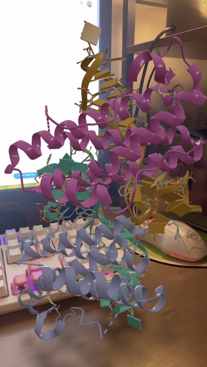 3D proteins in real life!